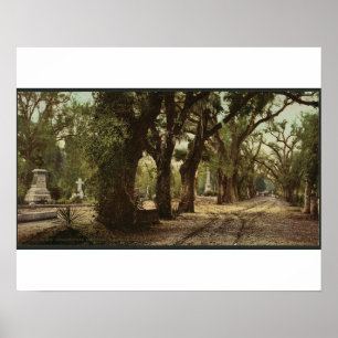 Bonaventura-Friedhof, Savanne, Georgia circa 1901 Poster