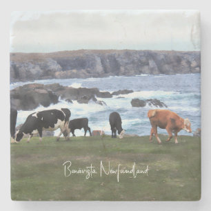 Bonavista Neufundland Steinuntersetzer