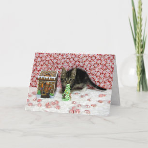 Bonbons Bandit Noël - Chat / Carte Kitten