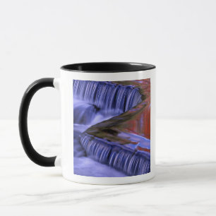 Bond Falls Reflektieren von bunten Blätter; Tasse