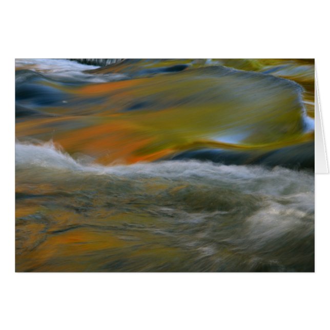 Bondfälle (Vorderseite (Horizontal))