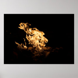 bonfire poster