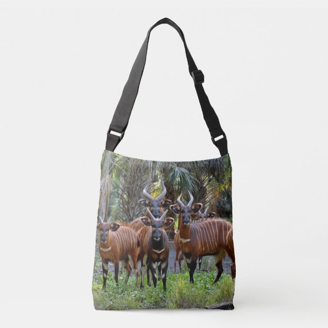 Bongo Crossbody Bag Tragetaschen Mit Langen Trägern (Vorderseite)