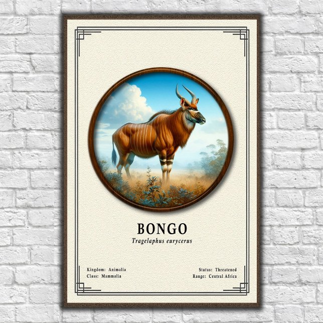 Bongo Zoologie-Serie Poster (Von Creator hochgeladen)