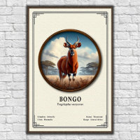 Bongo Zoologie Serie
