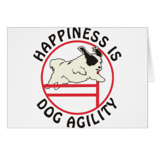 Bonheur d'agilité de chien