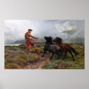 Bonheur - Ghillie Shetland Ponys in einer nebligen Poster