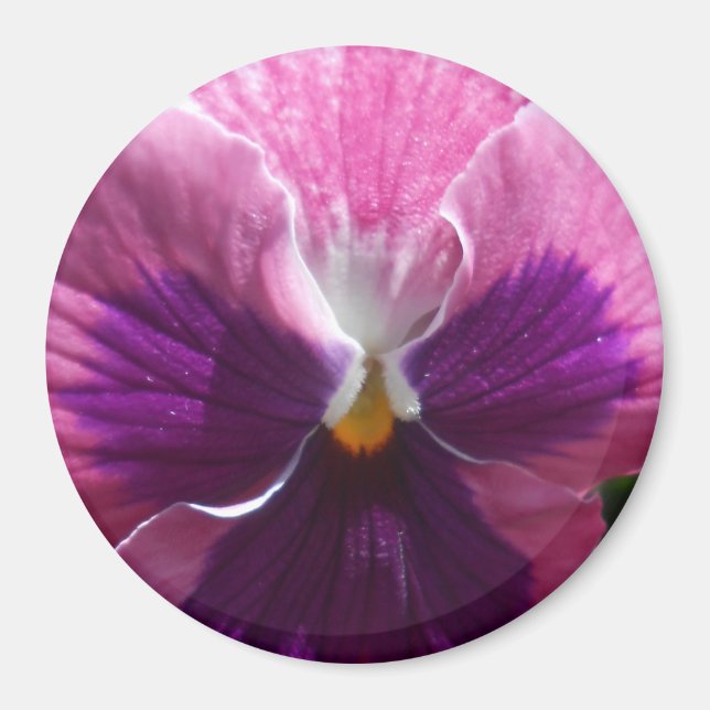 Bonheur Magnet (Vorne)