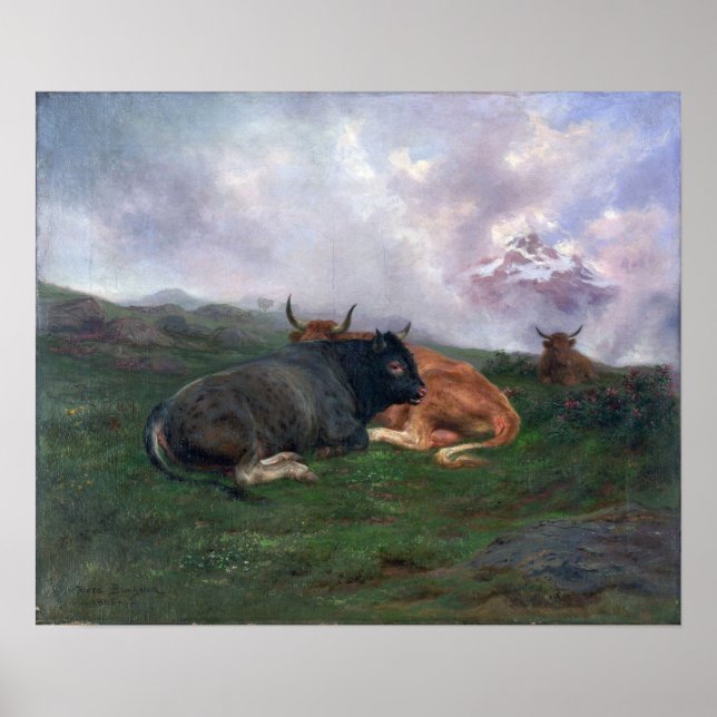 Bonheur - Rinder an der Erholung an der Alpenküste Poster (Vorne)