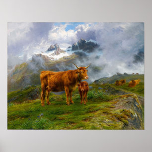 Bonheur - Rinder im Hochland Poster