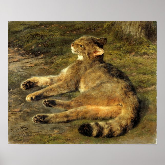 Bonheur - Wild Cat Poster (Vorne)