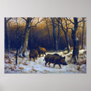 Bonheur - Wildschweine im Schnee Poster