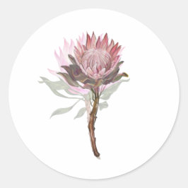 bonita flor protea runder aufkleber