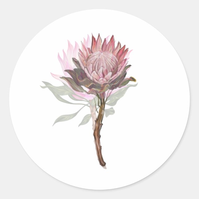 bonita flor protea runder aufkleber (Vorderseite)