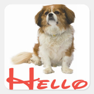 Bonjour Autocollant de chiot Cavalier King Charles