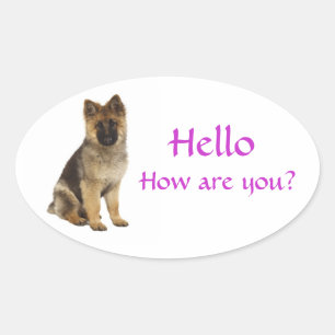 Bonjour Autocollants de salutation pour chiot berg