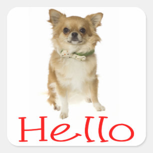Bonjour Autocollants de salutation pour chiot Chih
