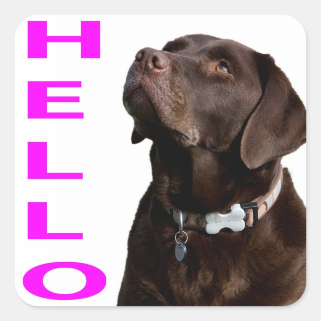 Bonjour Black Brown Labrador Retriever Sticker Éti (Devant)