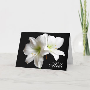 Bonjour blanc Lily carte de voeux Fleur sur noir