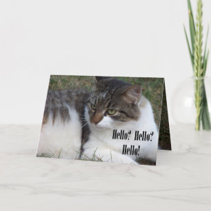 Bonjour ? Bonjour ? Bonjour ! Cartes (de chat)