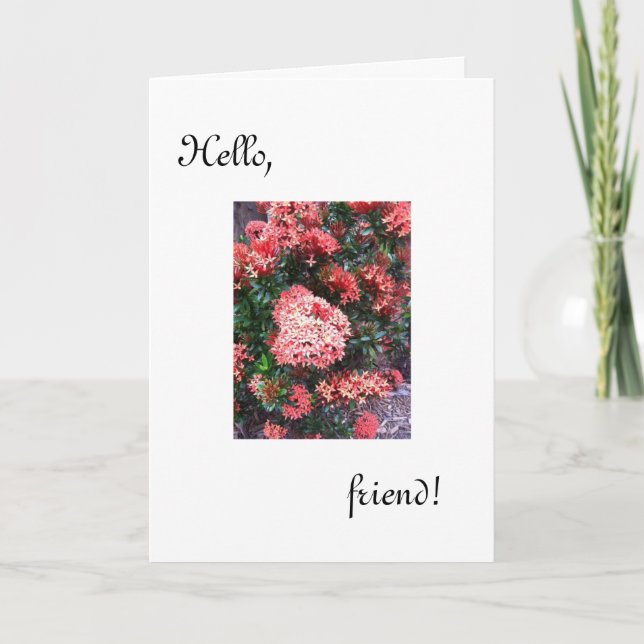 Bonjour Carte d'ami /a pensé à vous (Devant)