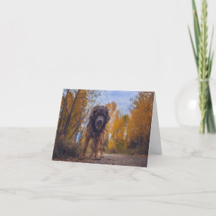 Bonjour ! Carte de correspondance pliée