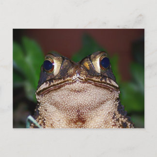 Bonjour ! Carte postale