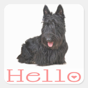 Bonjour chiot Terrier Écossais Autocollant / Étiq