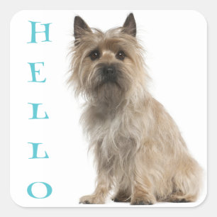 Bonjour chiots Cairn Terrier Autocollants de salut