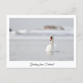 Bonjour de Finlande! carte postale