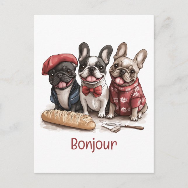 Bonjour French Bulldogs Postkarte (Vorderseite)