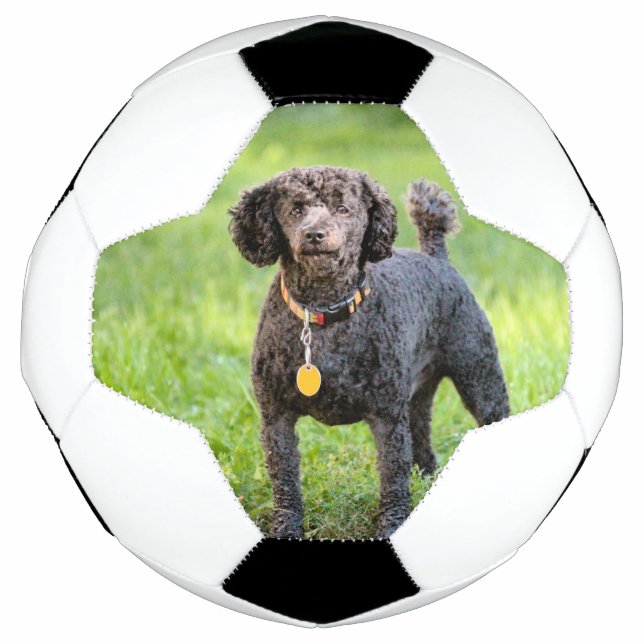 Bonjour Fußball (Vorderseite)