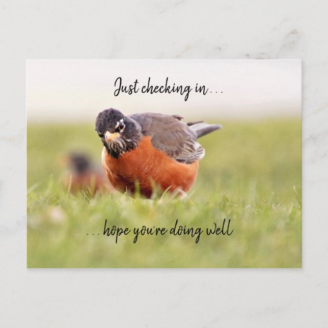 Bonjour—Il Suffit D'Archiver Une Carte Postale (Devant)