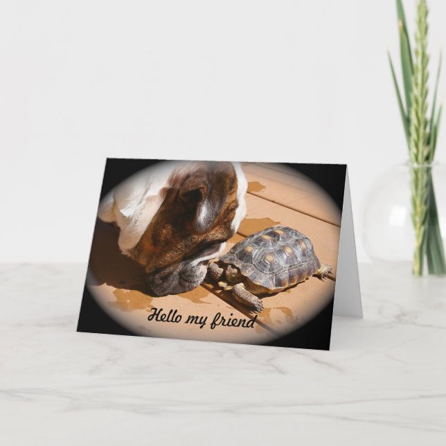 Bonjour ma carte d'ami (Devant)