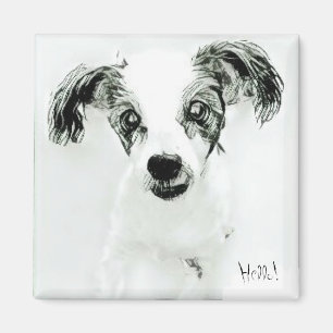 Bonjour mignon chien Magnet