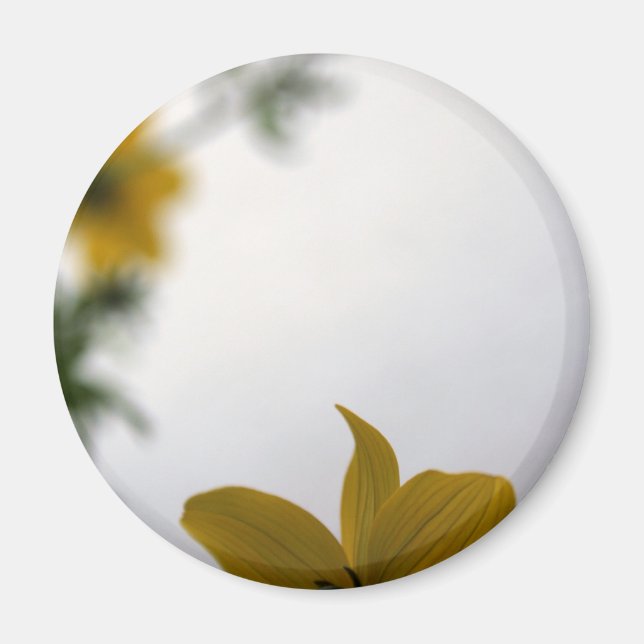 Bonjour Printemps Fleurs Jaunes Magnet (Devant)