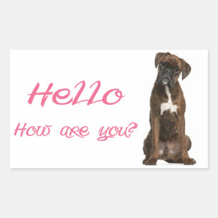 Bonjour / Salut Autocollant de salutation pour ch