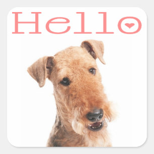 Bonjour / Salut Chien chiot Airedale Autocollant