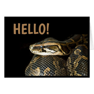 "BONJOUR"/ Serpent, Carte de Vœux Vierge