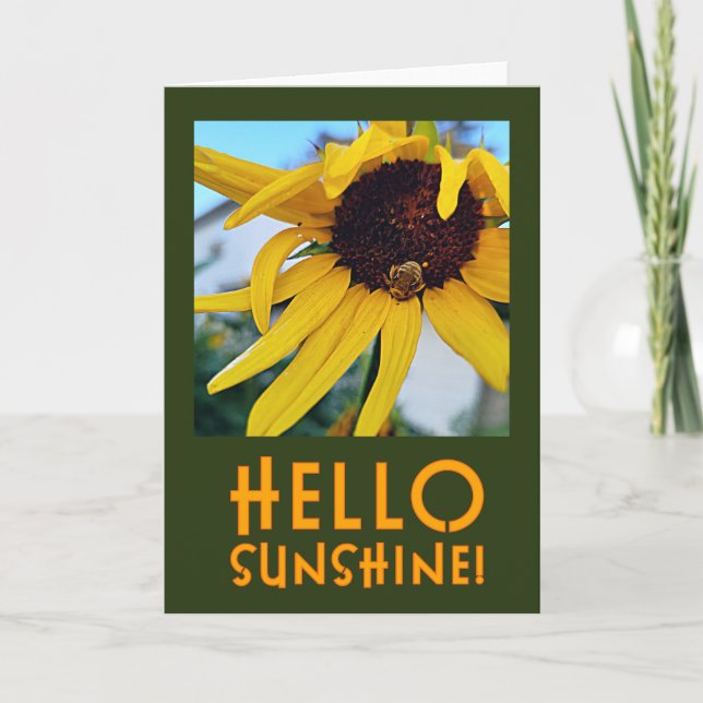 Bonjour Sunshine ! carte de voeux vierge (Devant)