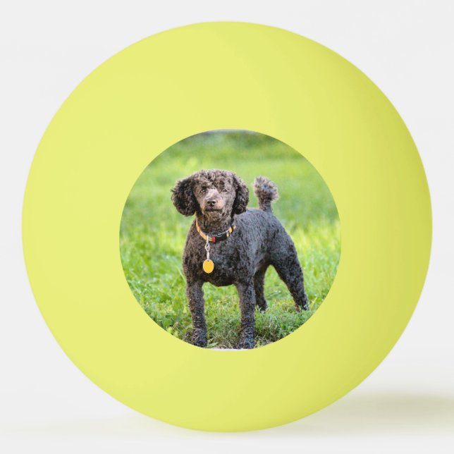Bonjour Tischtennisball (Vorderseite)