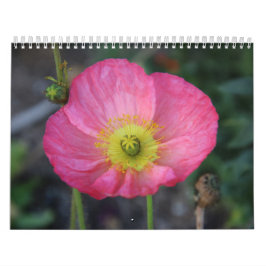 Bonne année Calendrier Année 2025