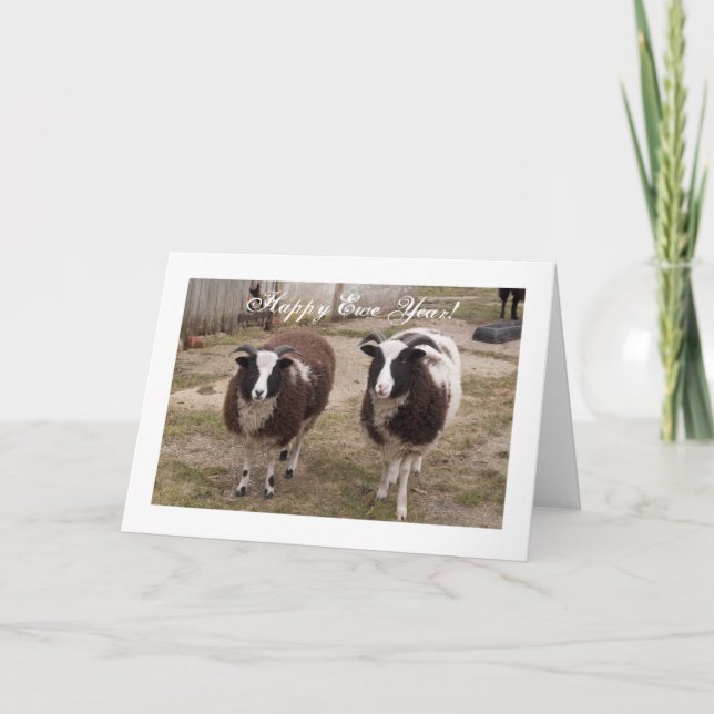 "Bonne année de la nouvelle" Carte Jacob Sheep Nou (Devant)