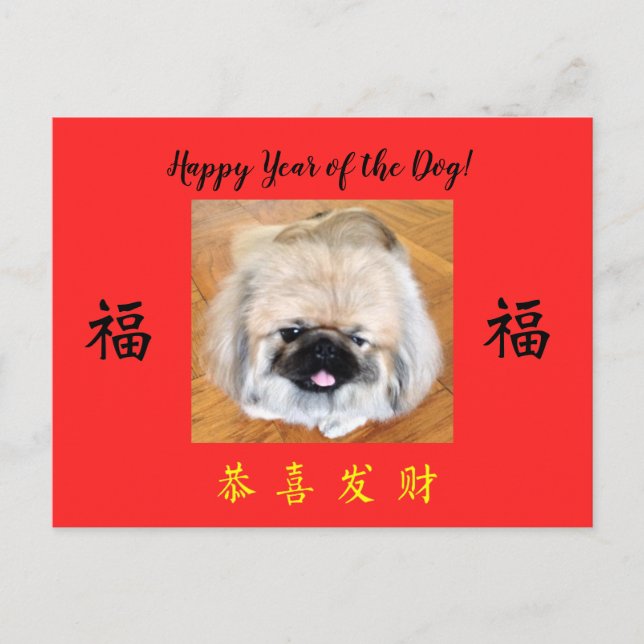 Bonne année du chien Pekingese CNY carte postale (Devant)