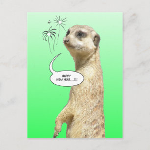 Bonne année Meerkat Carte postale Fireworks Green