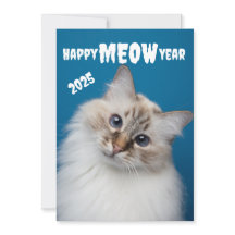 Bonne année MIAOU  Carte de vœux de fête du chat m