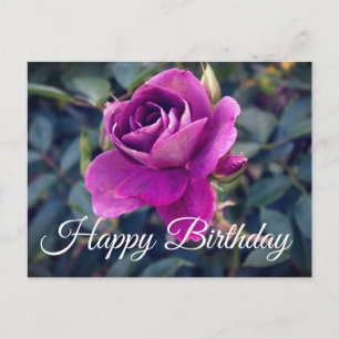 Bonne Anniversaire Bourgogne Rose Iceberg #2 Carte