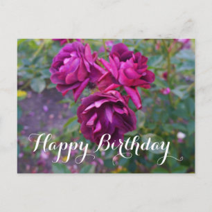 Bonne Anniversaire Bourgogne Rose Iceberg #3 Carte