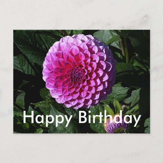 Bonne Anniversaire Dahlia Pink Paradise #1 Carte p (Devant)