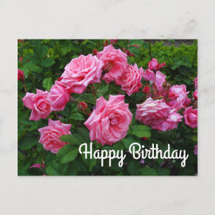 Bonne Anniversaire Gene Boerner Rose #2 Carte post